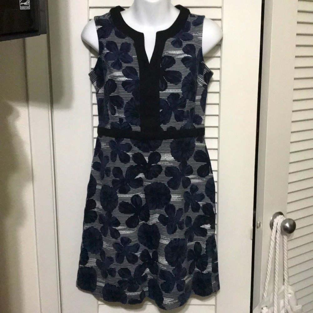 Great condition! Beautiful Ann Taylor dress